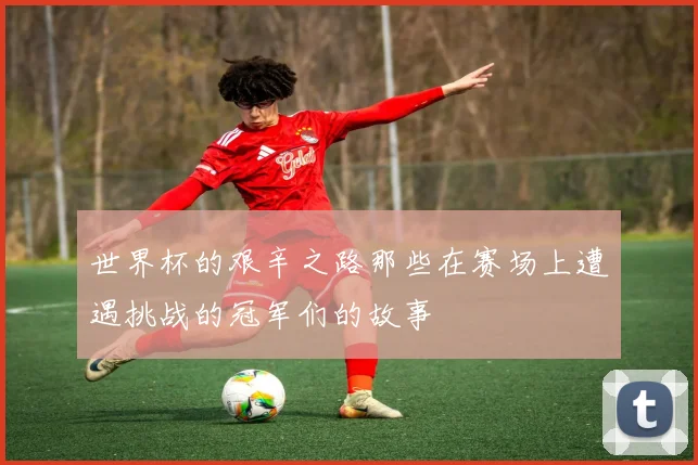 世界杯的艰辛之路那些在赛场上遭遇挑战的冠军们的故事